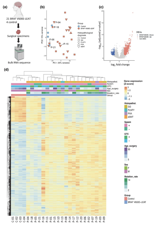 LEAT RNA-seq データ